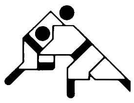 judo
